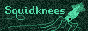 Squidknees